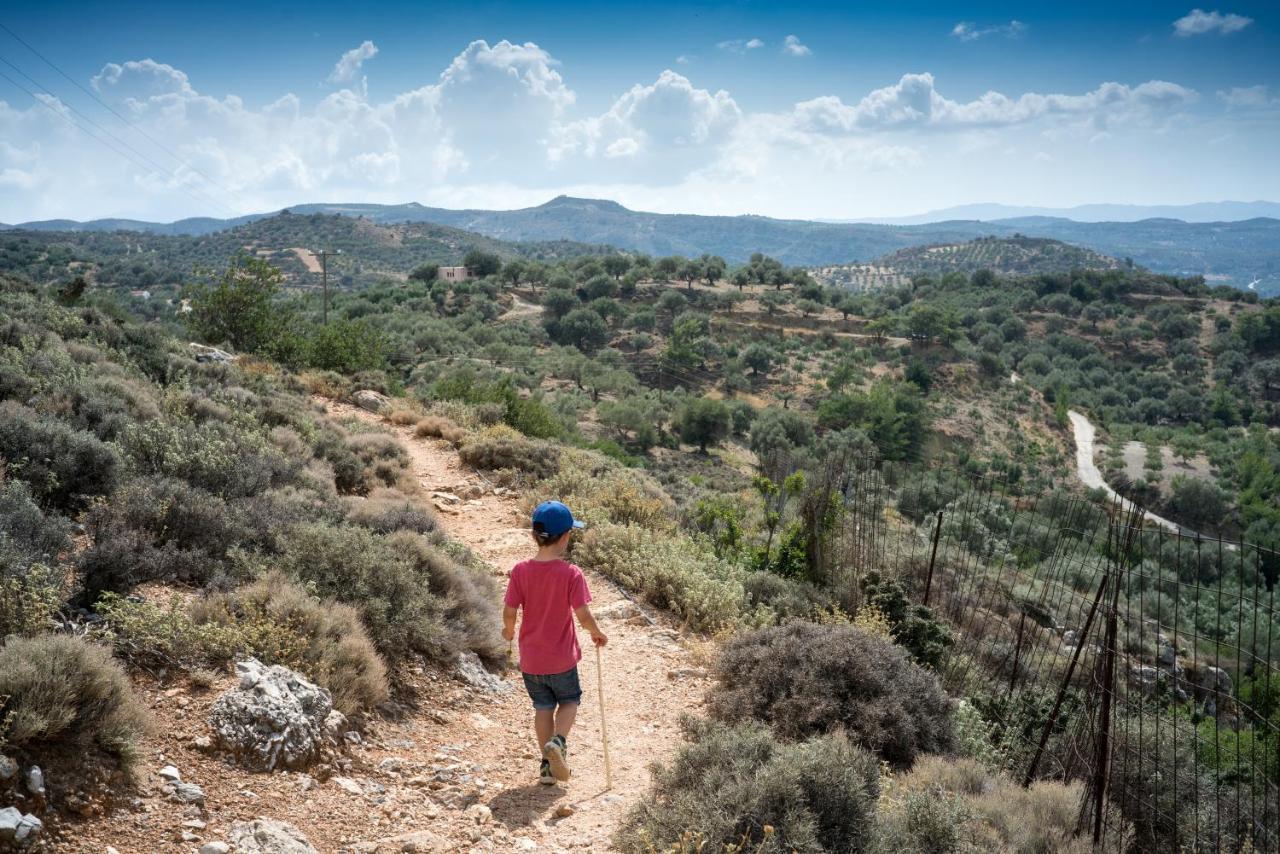 Melidoni X Village מראה חיצוני תמונה